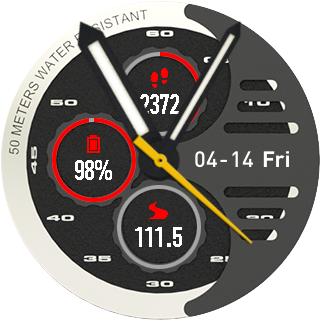 Amazfit Stratos 18